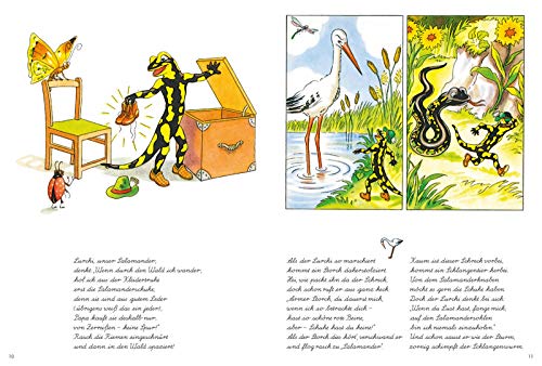 Lurchis Abenteuer 1: Das lustige Salamanderbuch: Nostalgie-Bilderbuch in Serie (1)