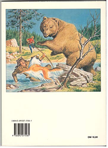 BESSY CLASSIC Softcover Album 8 (BESSY Alben)