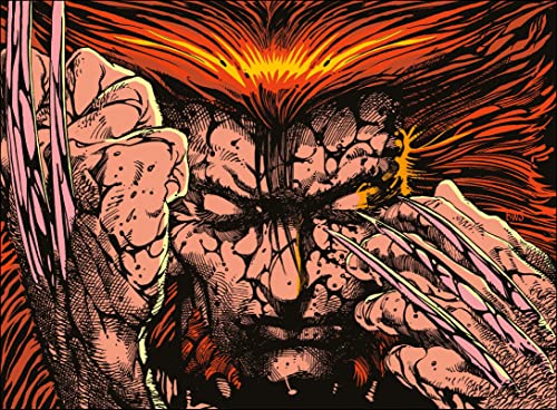 Wolverine : Arme X Édition Deluxe