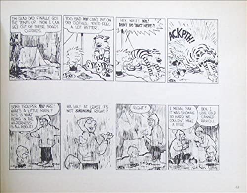 Calvin and Hobbes: The 10th Anniversary Book